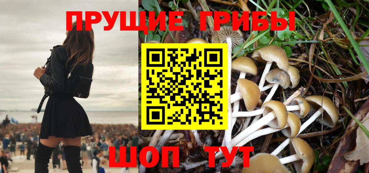 Псилоцибиновые грибы мицелий Еманжелинск